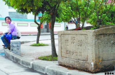 古董”垃圾箱内如今已种上了桂花树